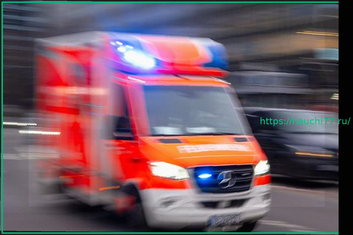 Preview Смертельное ДТП на автобане A1: Пассажирка погибла, движение восстановлено