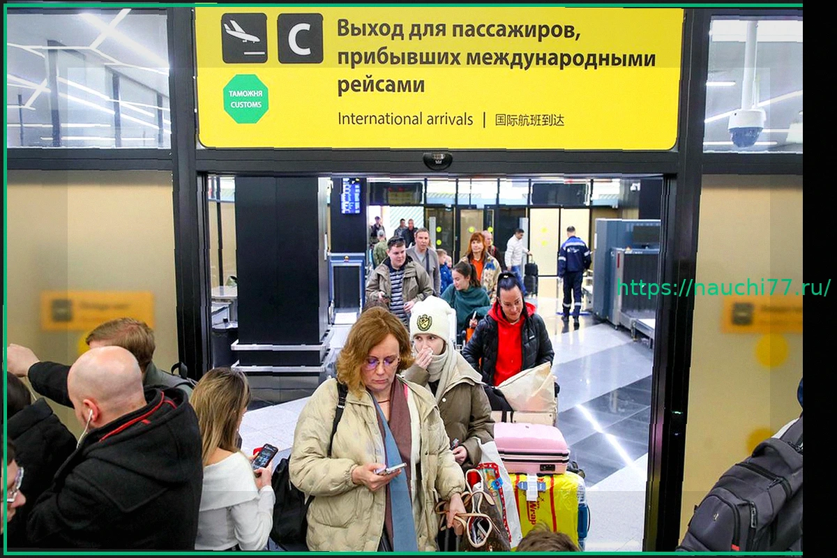 Preview Минтранс назвал число вернувшихся в Россию с Ближнего Востока за неделю