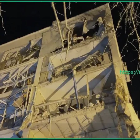 Кот Зевс пережил взрыв в Севастополе: история спасения и поисков