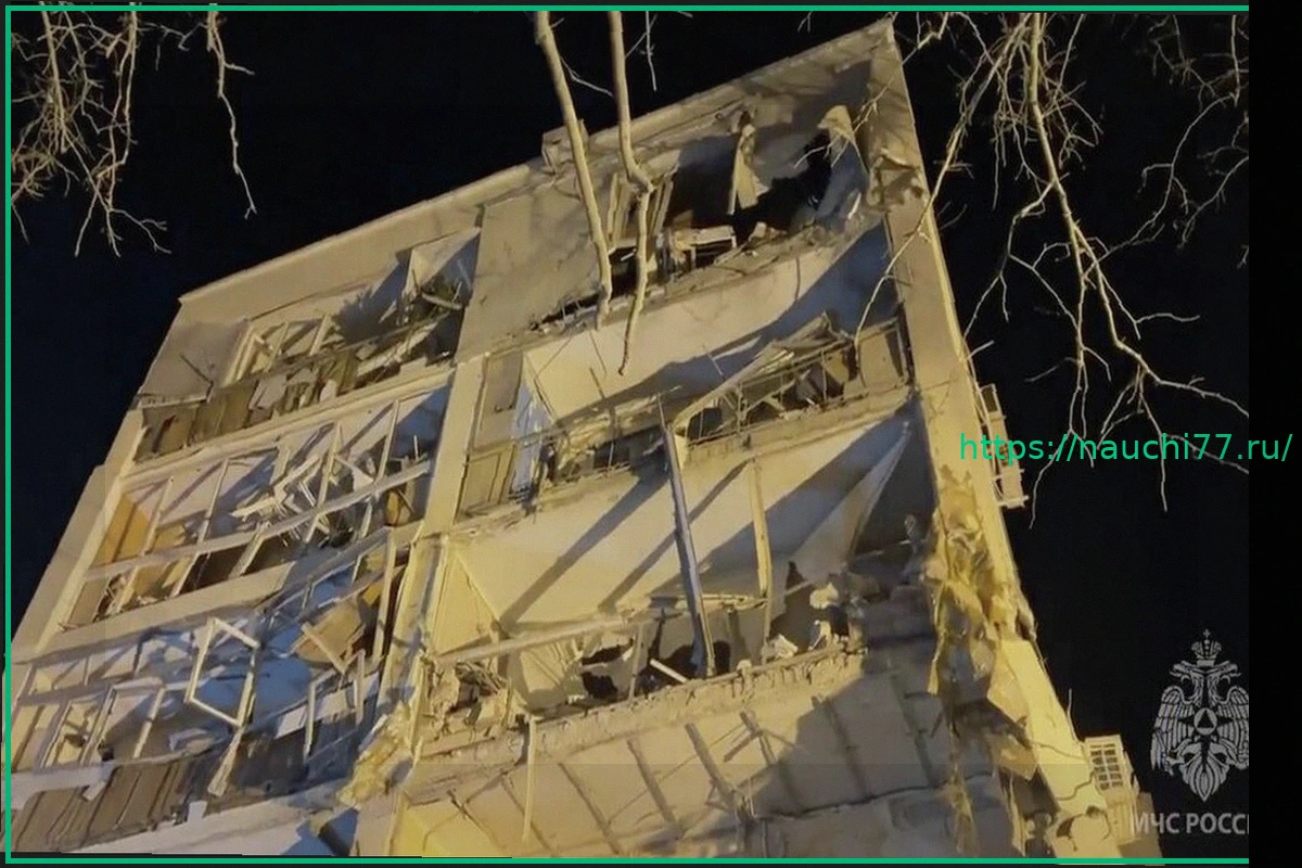 Preview Кот Зевс пережил взрыв в Севастополе: история спасения и поисков