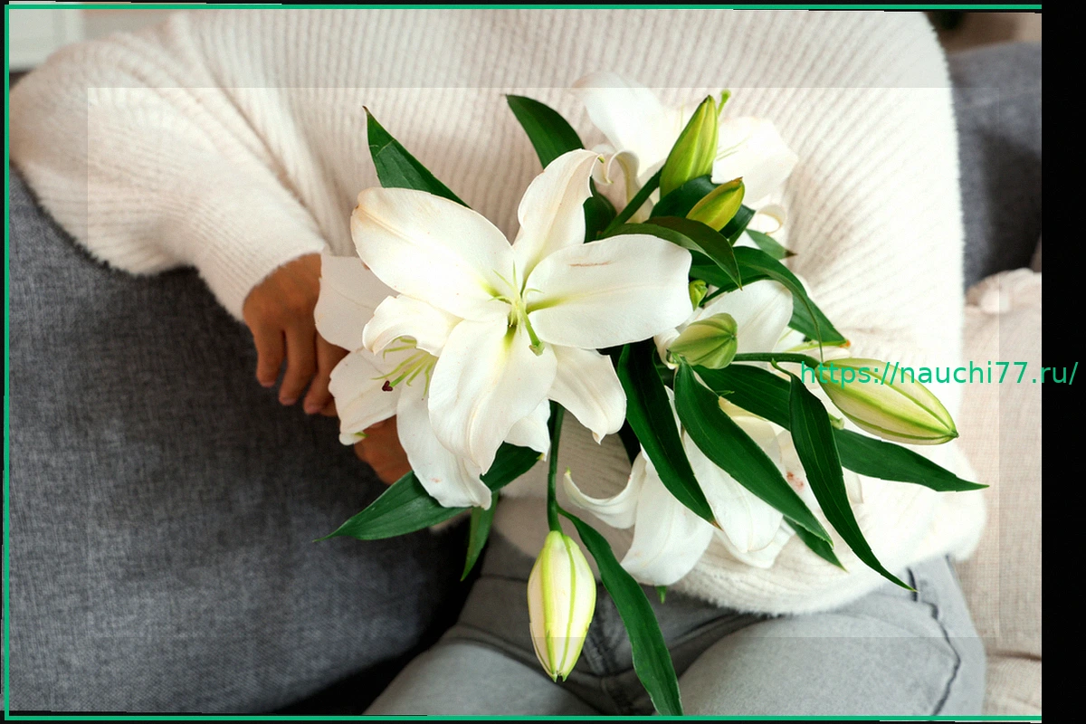 Preview Опасное сочетание: Ботокс и Лилии на 8 Марта Едва Не Стоили Жизни Жительнице Красноярска