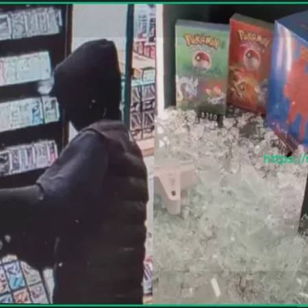 Задержан подозреваемый по делу о хищении карт Pokémon на $116 000 из Poke Court