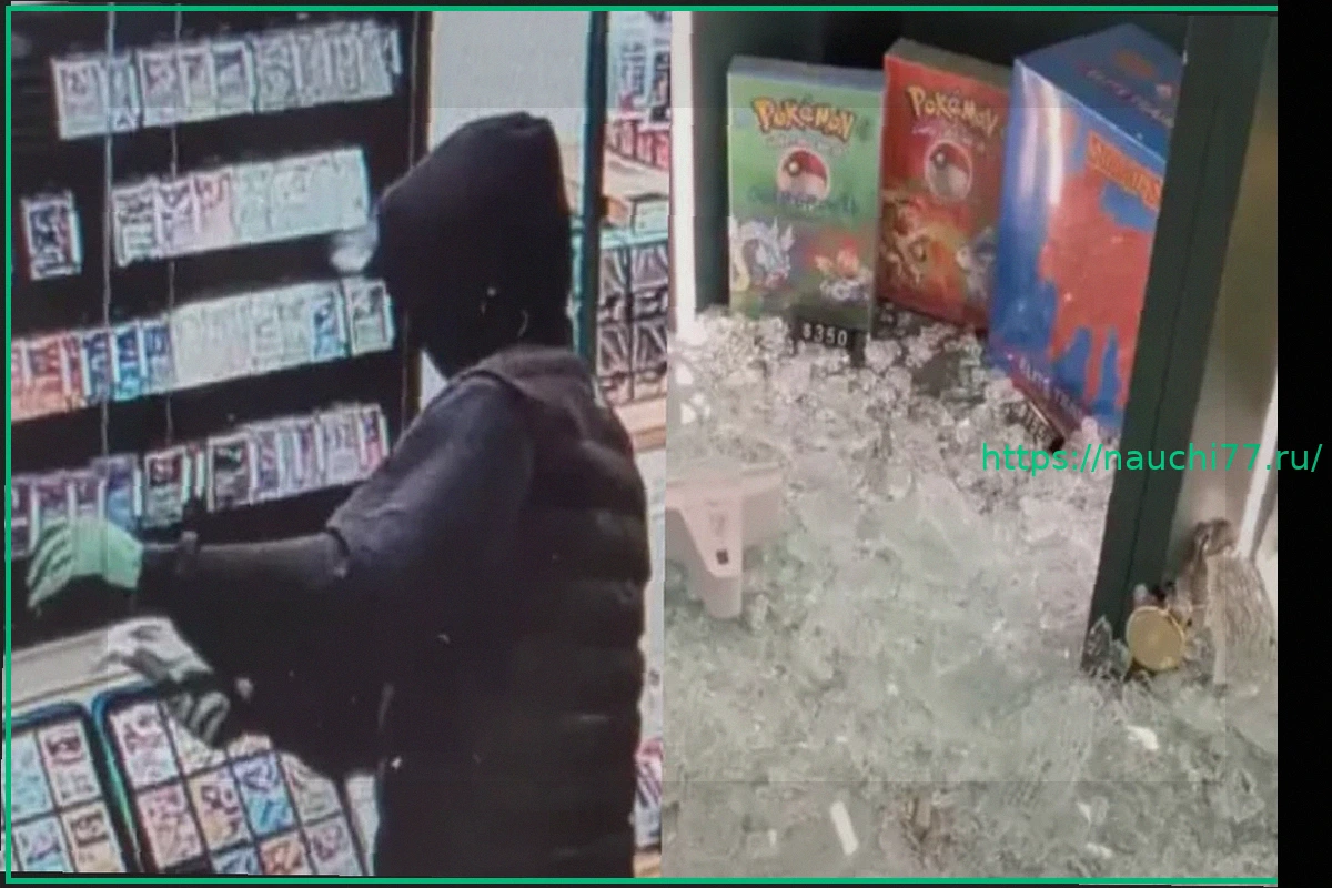 Preview Задержан подозреваемый по делу о хищении карт Pokémon на $116 000 из Poke Court