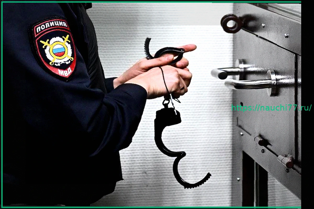 Preview Сторис с нацистской символикой привела российского студента под административный арест