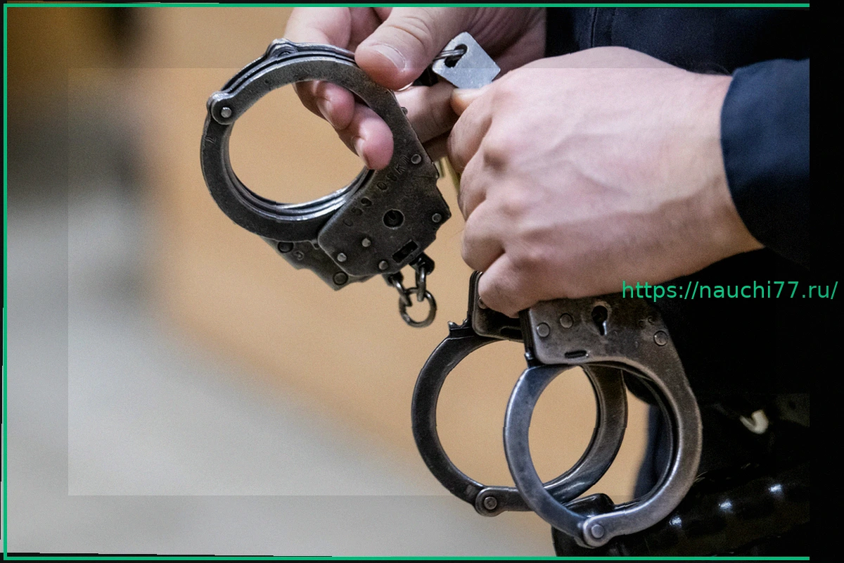 Preview Скрывавшийся под псевдонимом россиянин попал под следствие