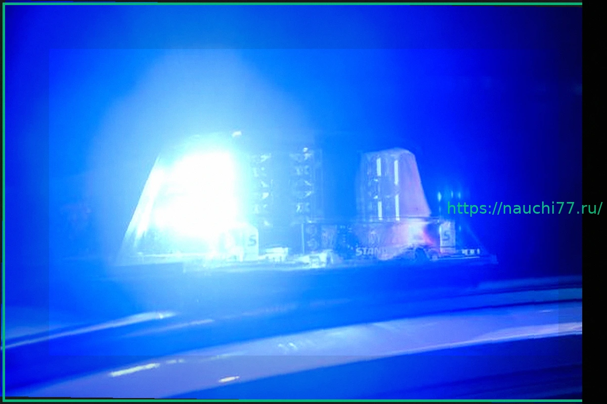 Preview В Мюнхене обнаружена мертвая женщина, задержан подозреваемый