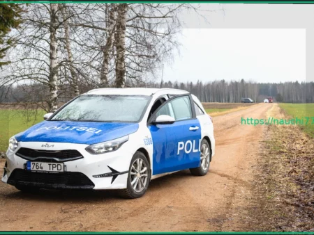 Украинский дрон обнаружен на побережье Эстонии