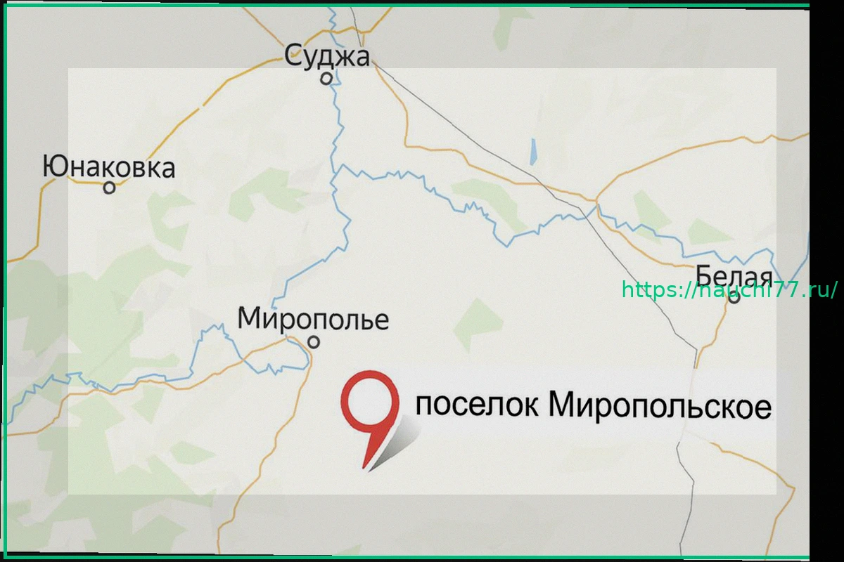 Preview ВСУ признали отступление из поселка Миропольское в Сумской области