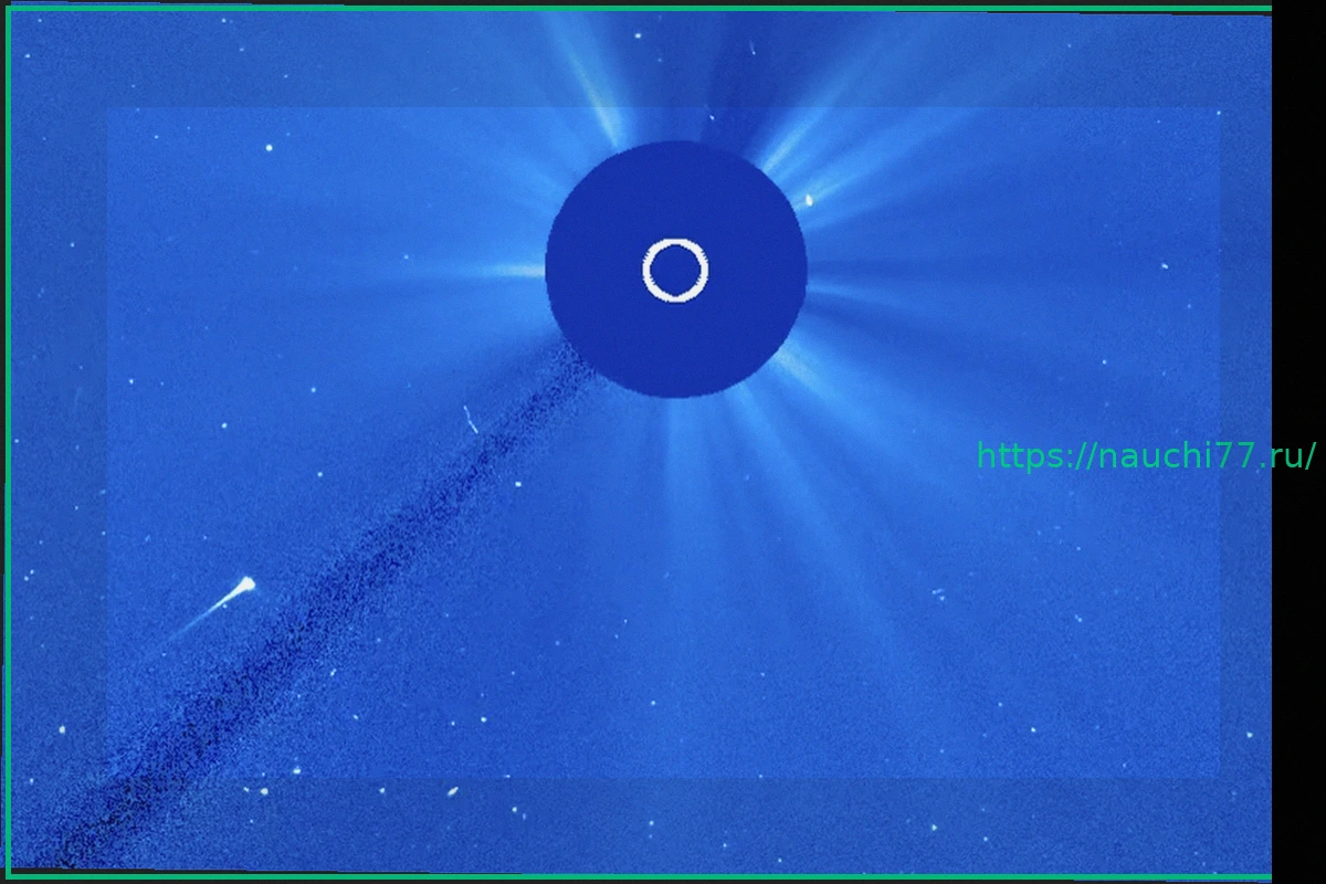 Preview Ученые заявили о поглощении самой яркой кометы года