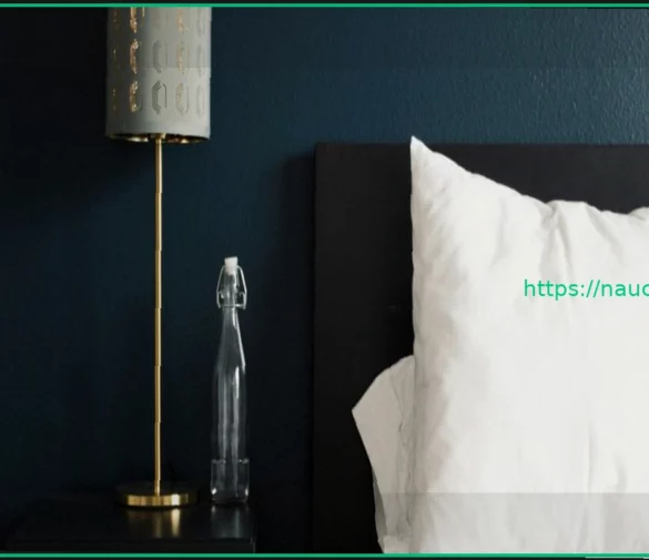 Из-за высоких цен на аренду мужчина поселился в отеле: заплатил за одну ночь, а жил бесплатно пять лет