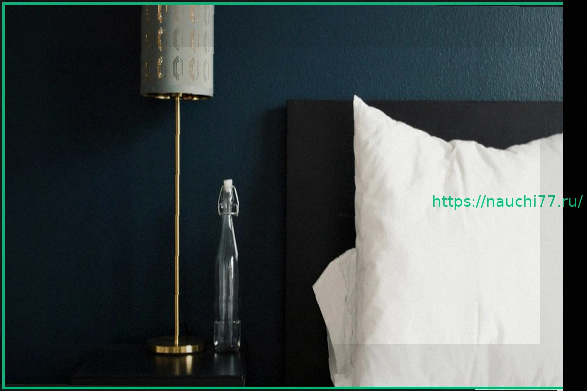 Preview Из-за высоких цен на аренду мужчина поселился в отеле: заплатил за одну ночь, а жил бесплатно пять лет