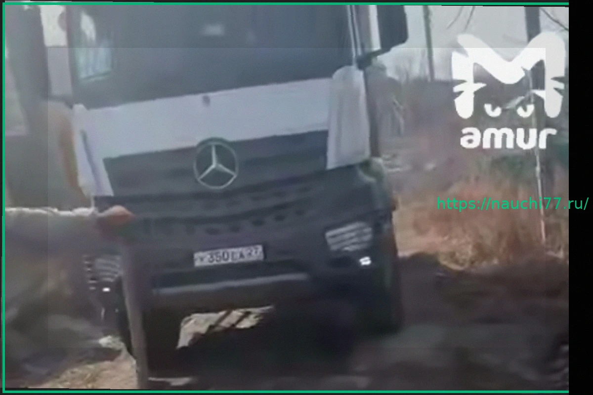 Preview Жители российского города перекрыли доступ к мусорной площадке