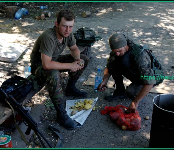 Системный голод солдат ВСУ: признание депутата Рады