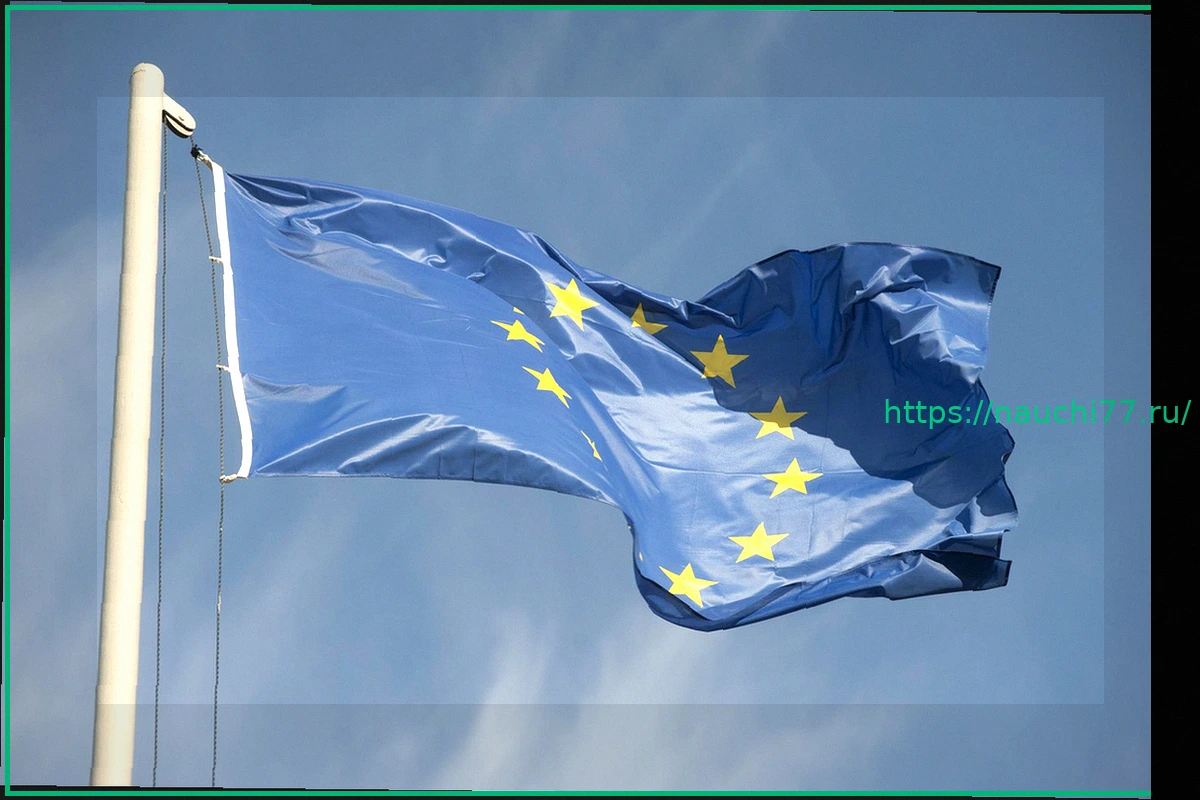 Preview Ограничения на выезд для мужчин в Германии: Анализ и предостережения