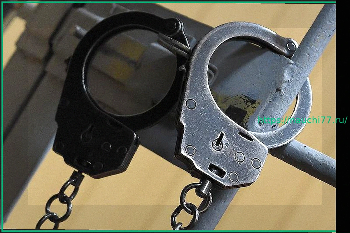 Preview Экс-помощник главы МЧС получил срок за хищение на программе «Газпром — детям»