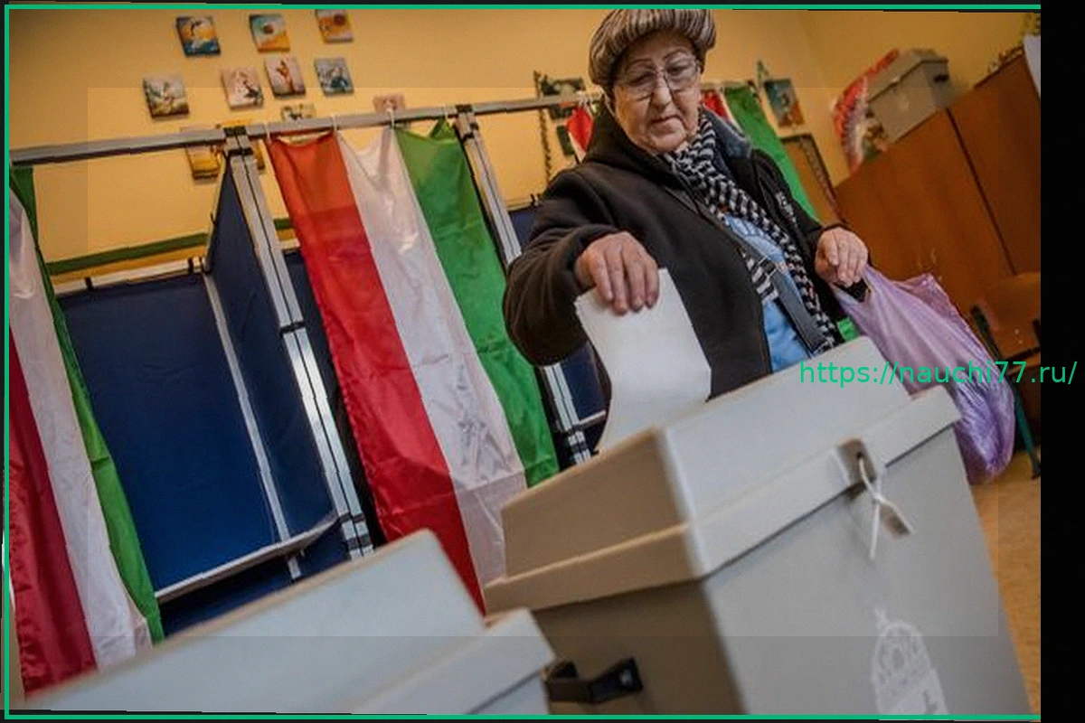 Preview Высочайшая явка на выборах в Венгрии: рекордная активность избирателей