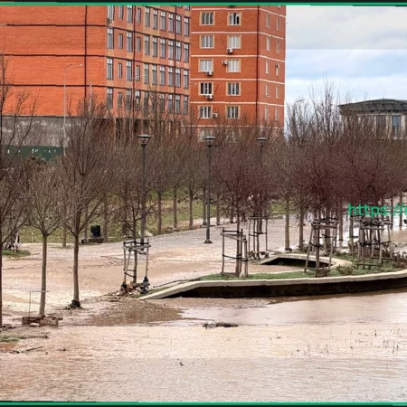 Обрушение жилого дома в Махачкале на фоне масштабных затоплений попало на видео