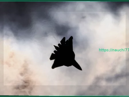 Алжирский Су-57 впервые показали на качественном снимке