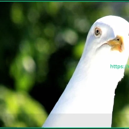 Во что мы играли на этой неделе