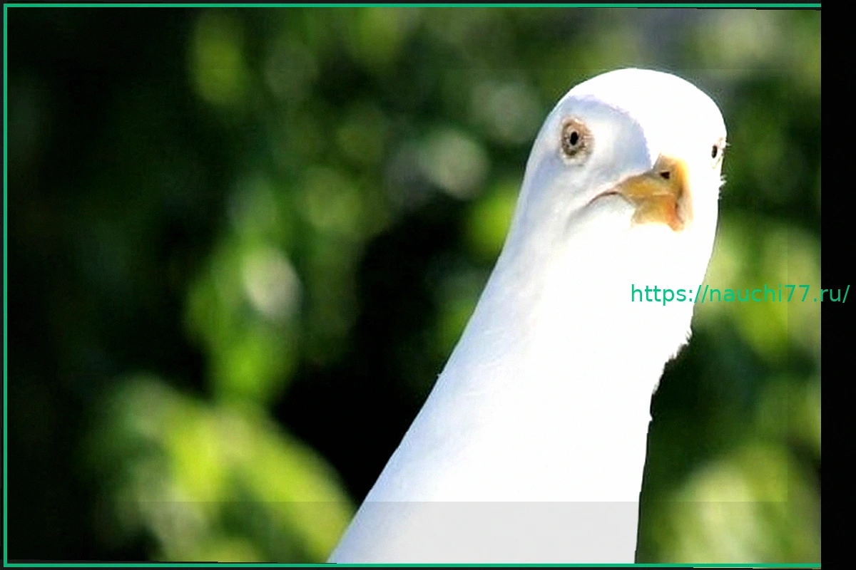 Preview Во что мы играли на этой неделе