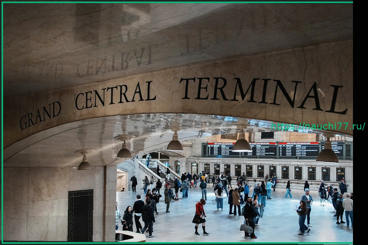 Preview Мужчина с мачете напал на людей на вокзале Нью-Йорка, трое ранены