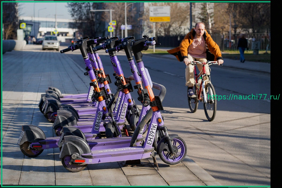 Preview В Москве не планируют запрещать электросамокаты: эксперт исключает сценарий Подмосковья