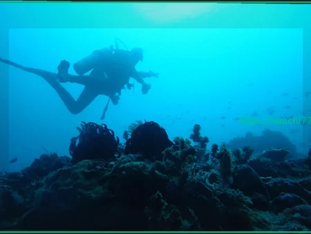 На месте кораблекрушения 2000-летней давности нашли идеально сохранившиеся сокровища