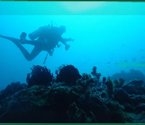 На месте кораблекрушения 2000-летней давности нашли идеально сохранившиеся сокровища