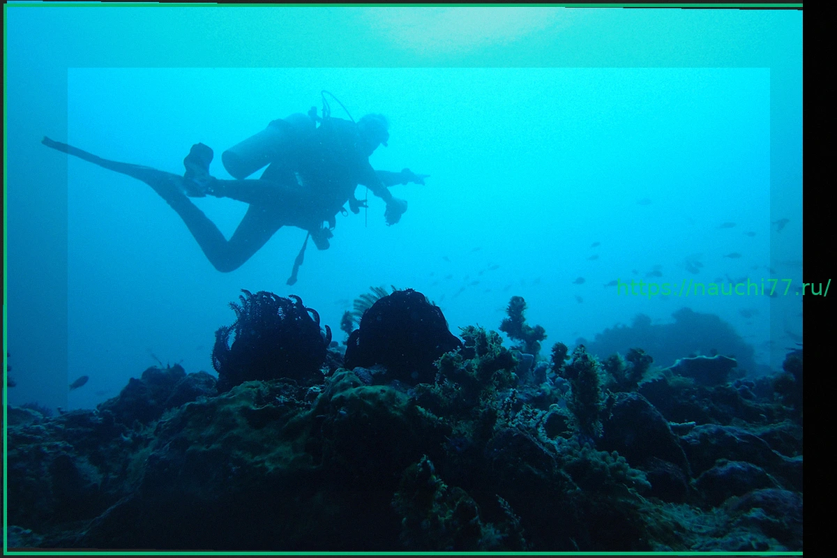 Preview На месте кораблекрушения 2000-летней давности нашли идеально сохранившиеся сокровища