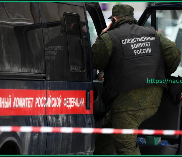 Убийство из-за громкой музыки в Петербурге