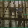 Медсестра тюрьмы обвиняется в интимной связи с заключенным и съемке