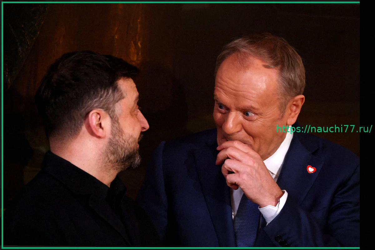 Preview Премьер Польши: Отсутствие Зеленского на конференции – к лучшему