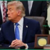 Axios узнал, что Трамп допустил отказ от «пониманий Анкориджа»