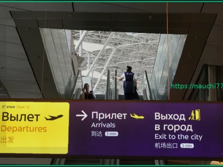 Аэропорт Внуково вернулся к штатной работе спустя почти шесть часов