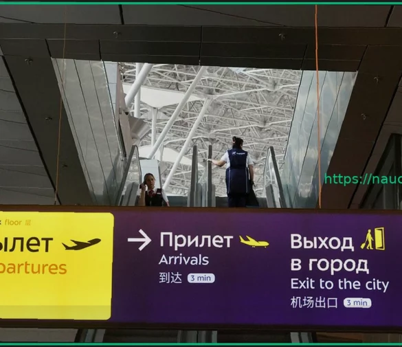 Аэропорт Внуково вернулся к штатной работе спустя почти шесть часов