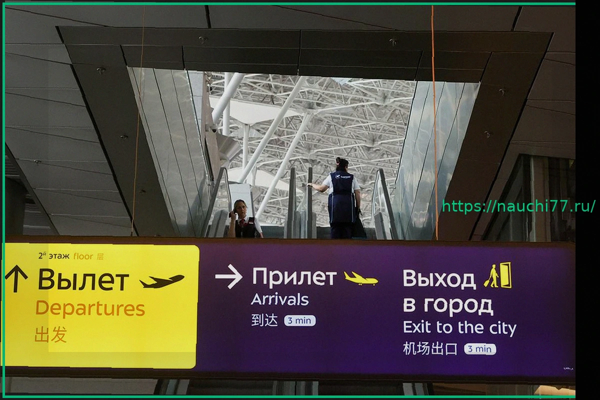 Preview Аэропорт Внуково вернулся к штатной работе спустя почти шесть часов