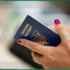 Украинские беженцы вывезли мебель и сантехнику из арендованной квартиры в Германии