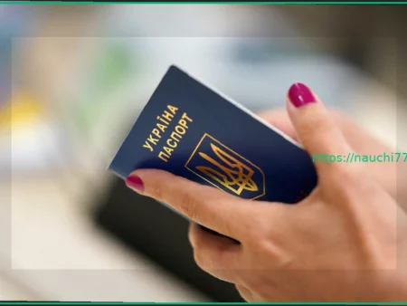 Украинские беженцы вывезли мебель и сантехнику из арендованной квартиры в Германии