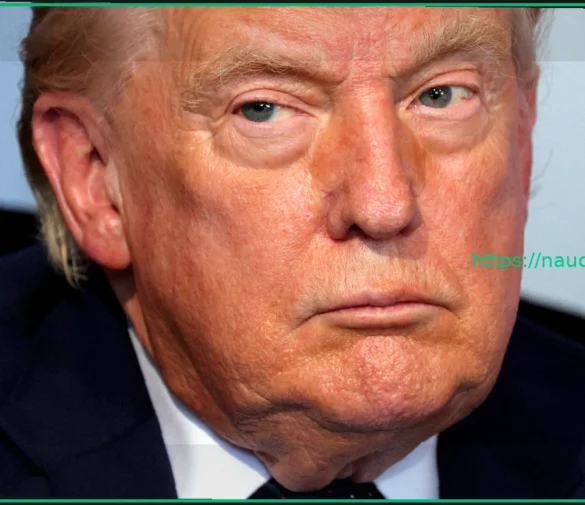 Европейцы обеспокоены потенциальным влиянием Трампа на урегулирование украинского конфликта
