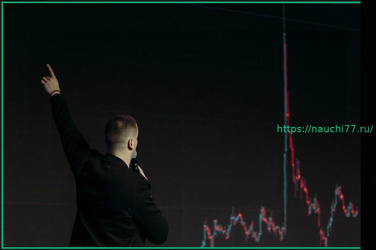 Preview Опрос РБК: как арест блогеров и падение рынка повлияли на инвесторов