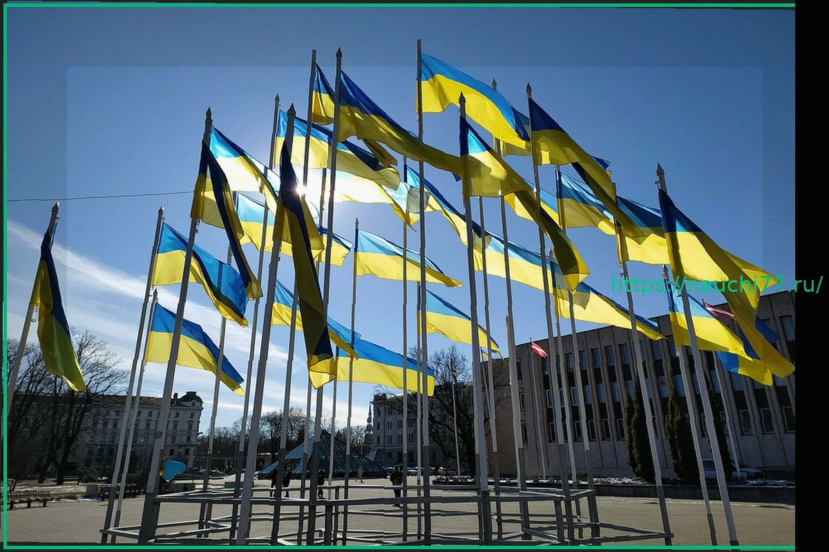 Preview Европа рискует потерять интерес к поддержке Украины, считает норвежский профессор