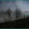 Российские военные обесточили работавшие с ВСУ заводы в Сумской области