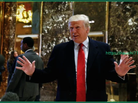 Трамп раскритиковал премьера Мелони из-за Ирана