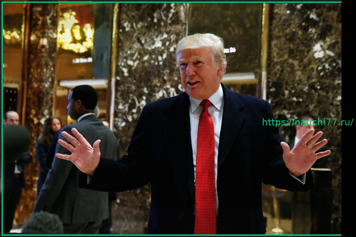 Preview Трамп раскритиковал премьера Мелони из-за Ирана