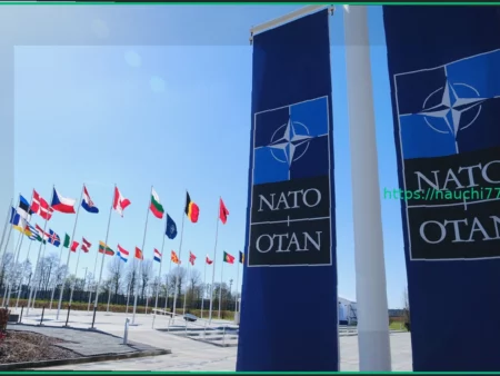 На Западе выступили с обвинениями в адрес НАТО из-за решений по Украине