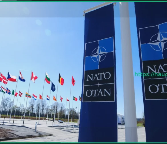 На Западе выступили с обвинениями в адрес НАТО из-за решений по Украине