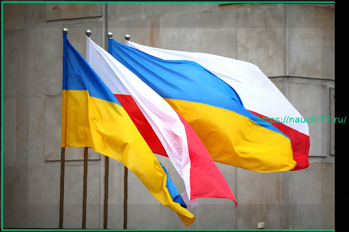 Preview Между Украиной и Польшей разгорелась «война орденов»