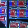 «Убрать руки от монитора»: рынок падает, инвесторы ждут точки входа