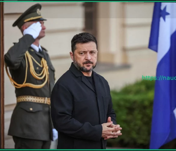 Почему Зеленский добивается возвращения украинцев из ЕС?